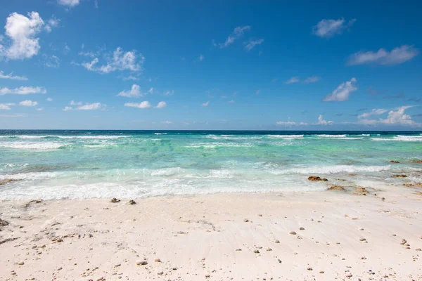 Tropisch Strand Assumptie Eiland Seychellen — Stockfoto