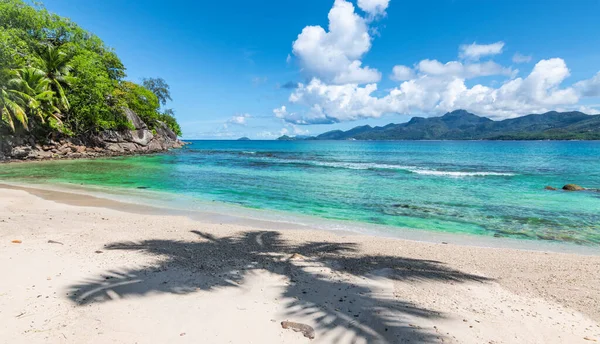 Sílhueta Palmeira Praia Seychelles Ilha Mahe — Fotografia de Stock