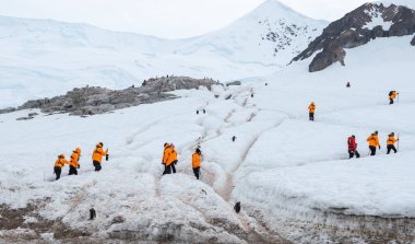 Neko Limanı, Antarktika - 12 Ocak 2024: Karlı dağlardaki penguen otoyollarında gezinti yapan turistlerle Antarktika seferi.