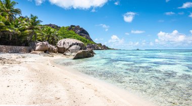 Palmiye ağaçlı tropik plaj. Anse Kaynağı d 'Argent, La Digue Adası, Seyşeller