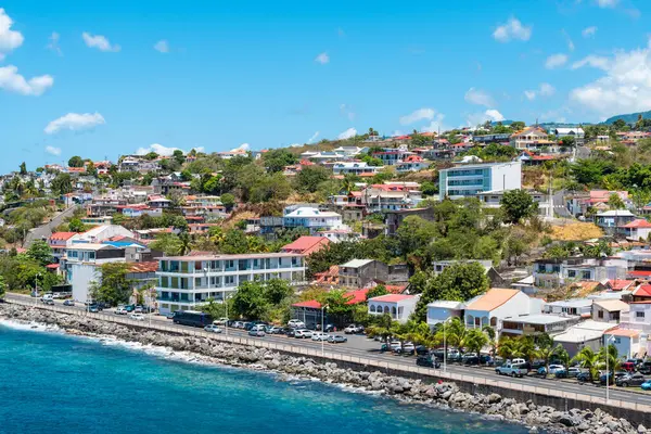 Basse-Terre şehri, deniz kıyısındaki Cruise Limanı, Guadeloupe