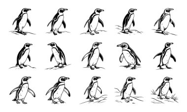 Black & White Penguin Vector Illustrations  Hand-Drawn Penguin Sketches clipart