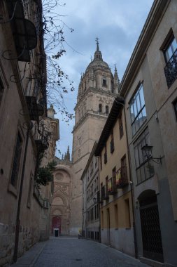 View of the Cathedral of Salamanca (Spain). Salamanca Cathedral seen from a nearby street.