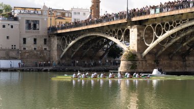 Seville, İspanya; 11 Kasım 2023: Seville-Betis Regatta. Sevilla 'daki Guadalquivir Nehri' nde kürek şampiyonluğu. İnsanlar Triana Köprüsü 'nden bir kürek yarışmasını izliyor.. 