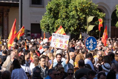 Seville, İspanya; 12 Kasım 2023: Hükümete karşı protesto. İspanyol bayraklı göstericiler hükümete ve genel affa karşı. PSOE partisinin politikalarını reddeden sokak gösterileri.