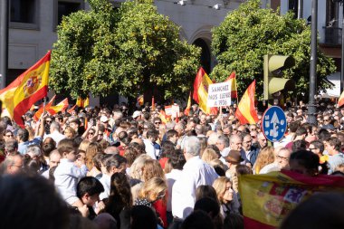 Seville, İspanya; 12 Kasım 2023: Hükümete karşı protesto. İspanyol bayraklı göstericiler hükümete ve genel affa karşı. PSOE partisinin politikalarını reddeden sokak gösterileri.