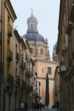 Salamanca, İspanya; 25 Aralık 2023: Salamanca Papalık Üniversitesi 'nin cephesi ve ünlü kubbesi ve taş cephesi.