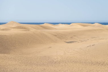 Gran Canaria 'daki Maspaloma Kumulları. Arkasında deniz olan çöl kumulları..