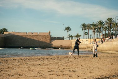 Cadiz, İspanya; 6 Aralık 2024: Bir çift, sahil boyunca koşmak için köpeklerine bir top fırlatıyor.