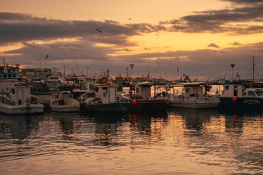 Santa Pola, İspanya; 27 Aralık 2024: Santa Pola balıkçı limanında gün batımı. Martılar gün batımında balıkçı limanında uçuyor..