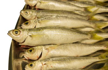 Üst görünüm - beyaz arkaplanda izole edilmiş taze balık patlamaları