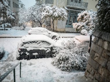 Atina 'da kışın ağaçlar arabanın üzerine düştü