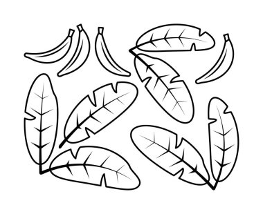 Muz dalları ve muz meyve vektör çizgisi simgeleri. Muz, yaprak, bitki, ikon, çizim, fetüs ve daha fazlası. Beyaz arkaplanda muz dalları için izole çizgi simgeleri koleksiyonu.