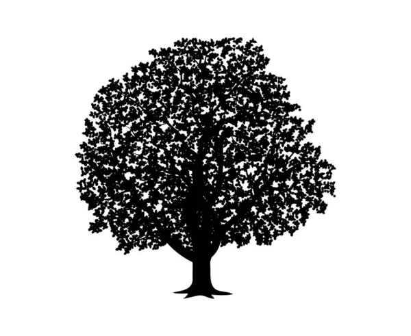 Vector Silhouette Walnut Tree Nature Ecology Isolated Vector Silhouette Walnut — Stock Vector
