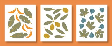 Vektör çizimi, bitki yapraklarının ve meyvelerinin renklerinin soyut halidir. Sosyal medya, posterler, kartpostallar ve web tasarımı için muz, zeytin, incir ağacı vektör seti.