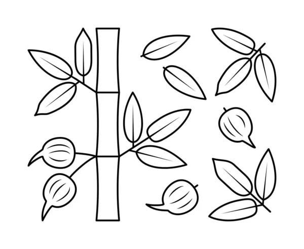 Векторное Рисование Бамбуковой Ветви Бамбуковых Фруктов Природа Экология Бамбук Листья — стоковый вектор