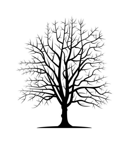 Drawn Vector Silhouette Chestnut Trunk Nature Ecology Isolated Vector Silhouette — Stock Vector