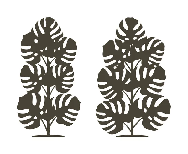Векторный Силуэт Монстерского Растения Природа Экология Изолированный Векторный Силуэт Монстерского — стоковый вектор