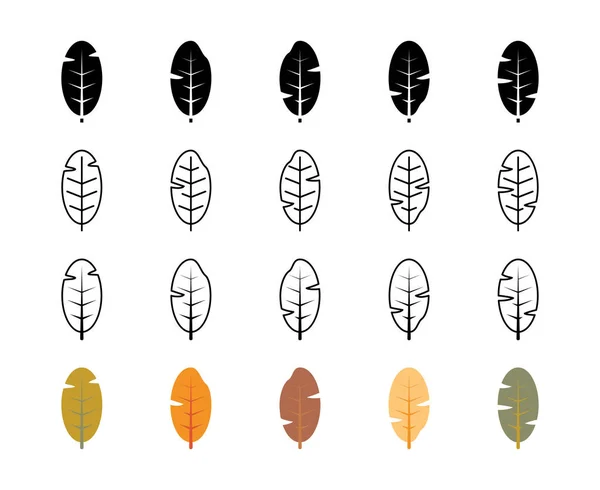Banane Laisse Des Icônes Vectorielles Nature Écologie Banane Feuilles Plante — Image vectorielle