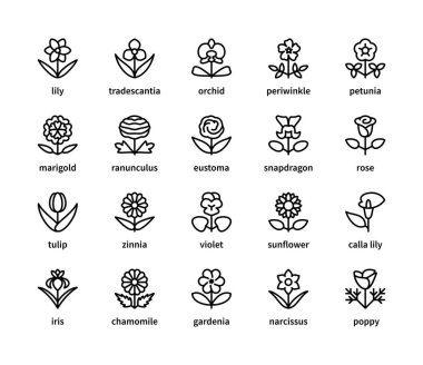 Çiçekler vektör doğrusal simgeleri ayarlandı. Flora. Orkide, menekşe, petunya, tradescantia, aslanağzı, ayçiçeği, lale ve daha fazlası. Beyaz arkaplandaki web siteleri için izole edilmiş ikon çiçek koleksiyonu.