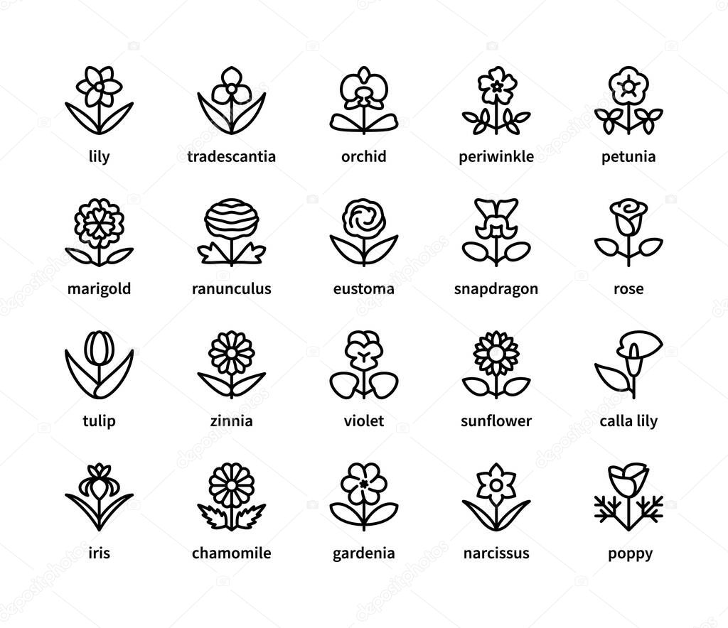 Flowers vector linear icons set. Flora. Orchid, periwinkle, petunia, tradescantia, snapdragon, sunflower, tulip and more. Isolated collection of icon flowers for web sites on white background.