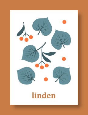 Pastel renklerde ıhlamur yapraklarının soyut sembolü. Linden, yapraklar, bitki ve daha fazlası. Sosyal medya, mobil konsept, posterler ve web tasarımı için yaprakların ayrı bir koleksiyonu. Vektör illüstrasyonu.