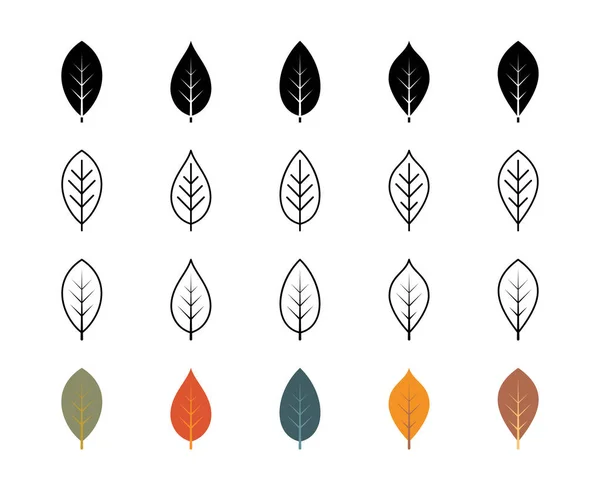 Icônes Vectorielles Feuilles Frêne Nature Écologie Cendres Feuilles Plantes Icônes — Image vectorielle