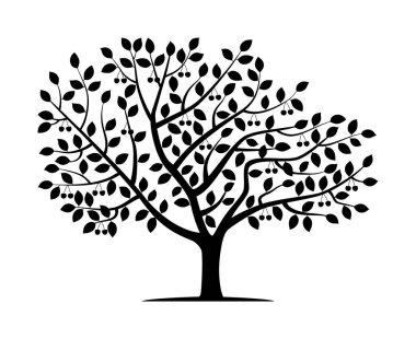 Kiraz ağacının vektör silueti. Doğa ve ekoloji. Sosyal ağlar, posterler, kartlar için beyaz arka planda kiraz ağacının izole edilmiş vektör silueti.