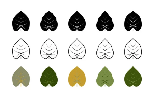 Philodendron Acutifolium Icônes Vecteur Feuilles Végétales Philodendron Feuilles Plantes Icônes — Image vectorielle