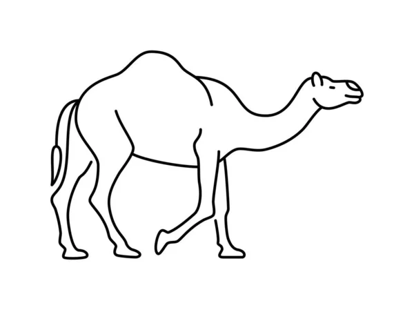 Ícone Vetorial Linear Camelo Mundo Animal Camelo Desenho Animal Esboço — Vetor de Stock