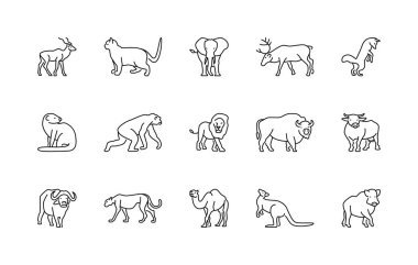 Animals linear vector icons. Animal world. Gazelle, cat, elephant, deer, fox, mustang, monkey, lion, bison, cow, buffalo, cheetah and much more. Isolated outline of animals on a white background. clipart