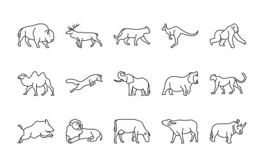 Hayvanlar doğrusal vektör simgeleri. Hayvanlar Dünyası. Bizon, geyik, kedi, kanguru, goril, deve, tilki, fil, su aygırı, çita, domuz ve daha fazlası. Beyaz arka plandaki hayvanların izole edilmiş ana hatları.