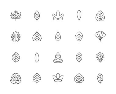 Yaprak doğrusal vektör simgeleri. Doğa ve ekoloji. Akçaağaç, kiraz, incir, zeytin, filodendron, huş ağacı, kül, kayın, ginkgo biloba ve diğerleri. Beyaz arka planda yaprakların izole edilmiş ana hatları.
