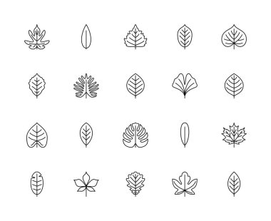 Yaprak doğrusal vektör simgeleri. Doğa ve ekoloji. Philodendron, bambu, huş ağacı, ceviz, ıhlamur, kayın, armut, ginkgo biloba, elma ve diğerleri. Beyaz arka planda yaprakların izole edilmiş ana hatları.