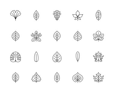 Yaprak doğrusal vektör simgeleri. Doğa ve ekoloji. Ginkgo biloba, kiraz, meşe, kestane, muz, armut, filodendron, kayın, elma ve diğerleri. Beyaz arka planda yaprakların izole edilmiş ana hatları.