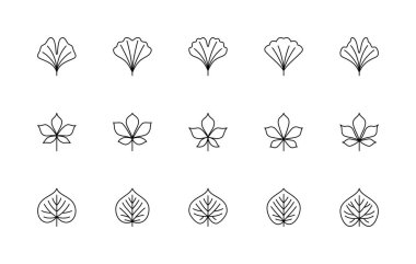 Yaprak doğrusal simgeleri vektör kümesi. Ginkgo biloba, kestane, ıhlamur. Doğa sembolleri. Logo, illüstrasyon, web tasarımı, basılı ürünler ve daha fazlası için izole edilmiş doğrusal yaprak ikonları koleksiyonu.