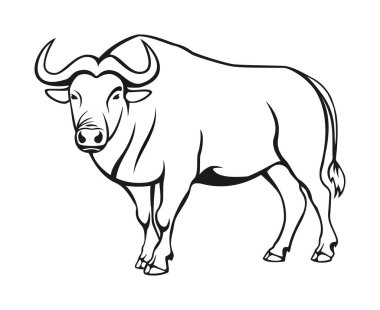 Bufalo vektör çizimi. Bufalo, çizim, hayvan, hayvan, sembol, resim, beyaz arka planda amblem. Grafik ve web tasarımı, logo, dövme ve daha fazlası için düz bufalo figürü.