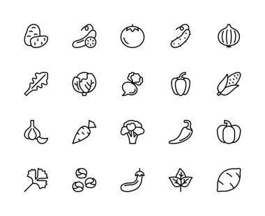 Sebzelerle ilgili vektör doğrusal simgeleri ayarlandı. Patates, kabak, domates, salatalık, soğan, roka, mısır gibi ikonlar içerir. Beyaz arkaplanda münferit sebze ikonları koleksiyonu.