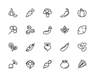 Sebzelerle ilgili vektör doğrusal simgeleri ayarlandı. İçinde sarımsak, havuç, brokoli, biber, balkabağı, maydanoz ve daha fazlası gibi ikonlar var. Beyaz arkaplanda münferit sebze ikonları koleksiyonu.