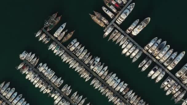 Muchos Barcos Yates Muelle Del Puerto Vista Aérea Bahía Milta — Vídeos de Stock
