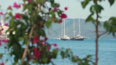 Bodrum körfezinde iki büyük yelkenli. Akdeniz kıyısındaki yatlar. 