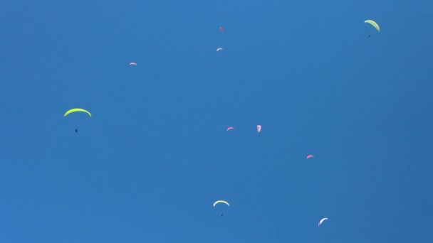 澄んだ青い空にはパラグライダーがたくさん飛んでいます グループパラグライダー — ストック動画