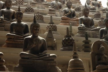 Kolombo 'daki Gangaramaya Tapınağı' nda bir sürü taş Buda heykeli var. Eski doğal Buda heykelleri.