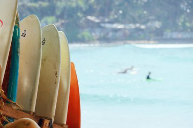 Tropikal sahilde okyanus kenarında kiralık bir dizi sörf tahtası. Kiralık kopya alanı arka planında sörf yapmak