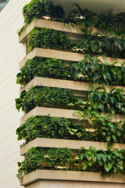 Modern şehir binasında dikey yeşil bir bahçe. Zeminde bitkiler olan sürdürülebilir ekolojik mimari