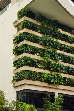 Modern şehir binasında dikey yeşil bir bahçe. Zeminde bitkiler olan sürdürülebilir ekolojik mimari