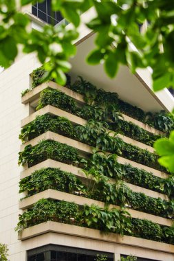 Modern şehir binasında dikey yeşil bir bahçe. Zeminde bitkiler olan sürdürülebilir ekolojik mimari