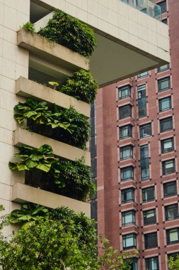 Modern bir binanın balkonlarında yeşil bir bahçe. Zeminde bitkiler olan sürdürülebilir mimari