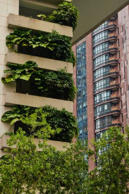 Modern şehir binasında dikey yeşil bir bahçe. Zeminde bitkiler olan sürdürülebilir ekolojik mimari