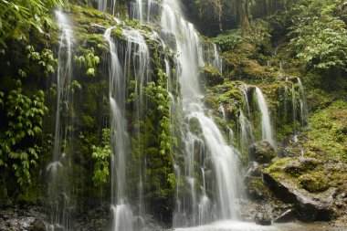 Bali 'deki tropik bir Banyu Wana Amertha şelalesi yemyeşil ve yosunlarla kaplanmış birçok akarsu ile.